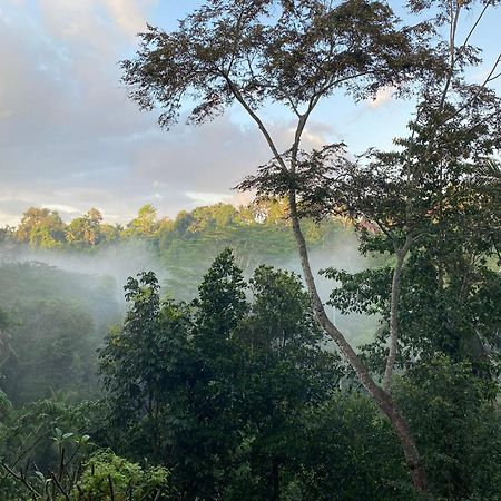 D'Tepi Ubud House מראה חיצוני תמונה